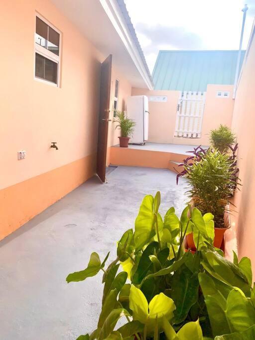 Centrally Located, Private, 1 Bedroom Apartment. Willemstad Exterior foto